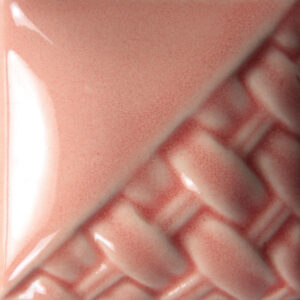 SW205 - Coral