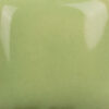 SC043 Lettuce Alone