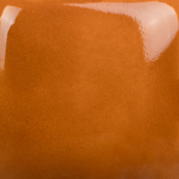 SC048 Camel Back