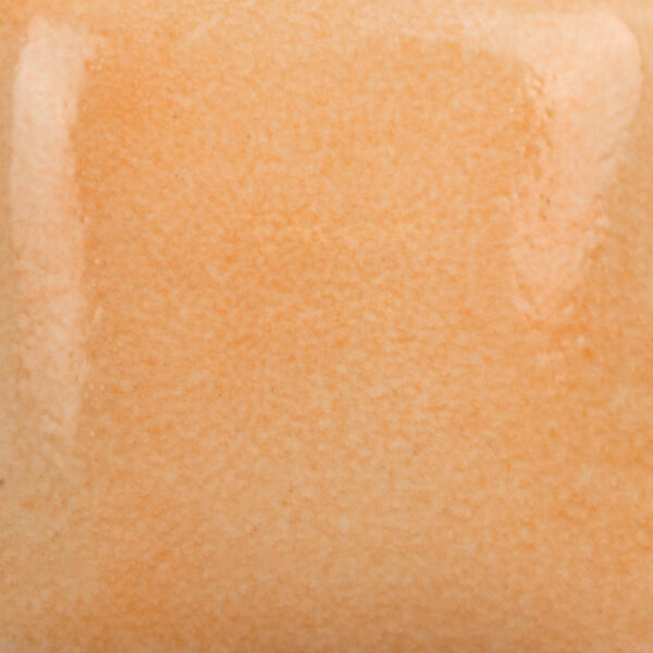 SC050 Orange Ya Happy