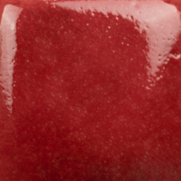 SC087 Ruby Slippers