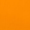 Kiwi - Saffron Orange 'underglasur'