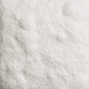 SG302 - Snowfall