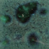 CG0713 - Peacock Green 'Jungle Gems'