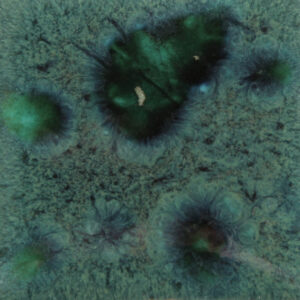 CG0713 - Peacock Green 'Jungle Gems'
