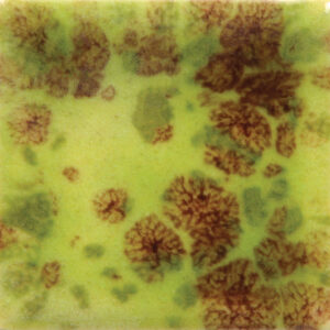 CG0717 - Pistachio 'Jungle Gems'