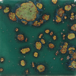 CG0780 - Mystic Jade 'Jungle Gems'
