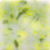 CG0963 - Lemon Lime 'Jungle Gems'