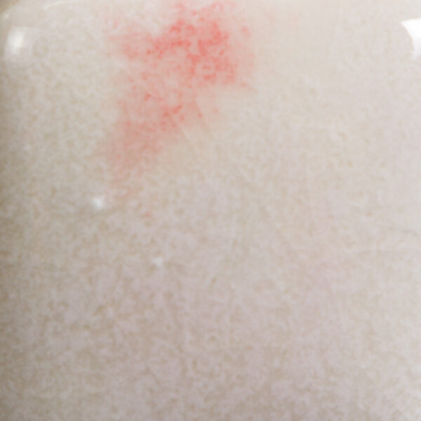 CG0968 - Peppermint Twist 'Jungle Gems'
