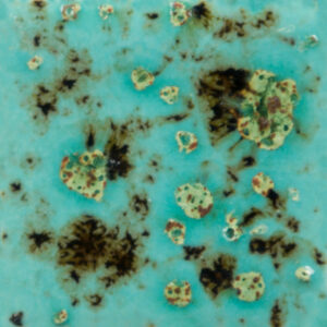 CG01008 - Blue Guppy 'Jungle Gems'