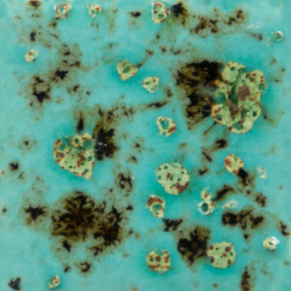 CG01008 - Blue Guppy 'Jungle Gems'