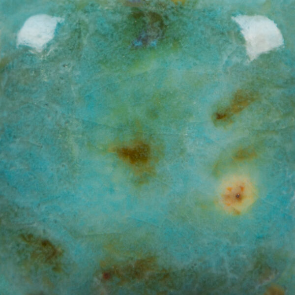 CG01008 - Blue Guppy 'Jungle Gems'