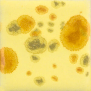 CG01012 - Haystack 'Jungle Gems'