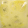 CG01012 - Haystack 'Jungle Gems'