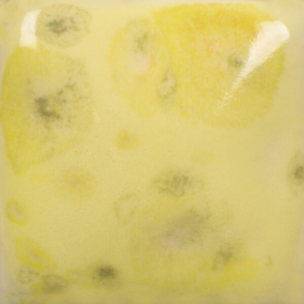 CG01012 - Haystack 'Jungle Gems'