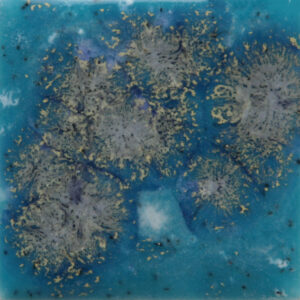 S2711 - Tahiti Grape 'Jungle Gems'