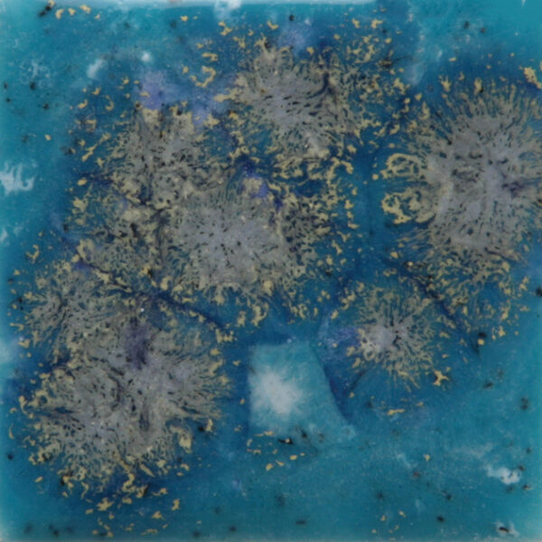S2711 - Tahiti Grape 'Jungle Gems'