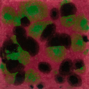 CG1005 - Maroon Lagoon 'Jungle Gems'