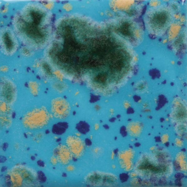 CG0718 - Blue Caprice 'Jungle Gems'