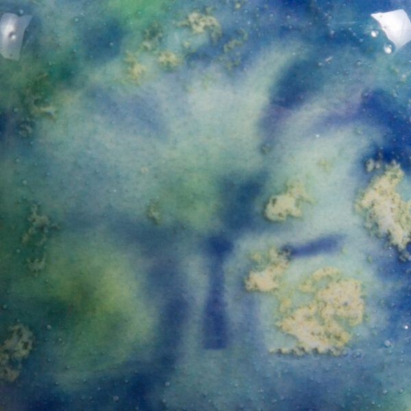 CG0718 - Blue Caprice 'Jungle Gems'