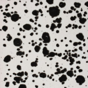 CG0977 - Ink Spots 'Jungle Gems'