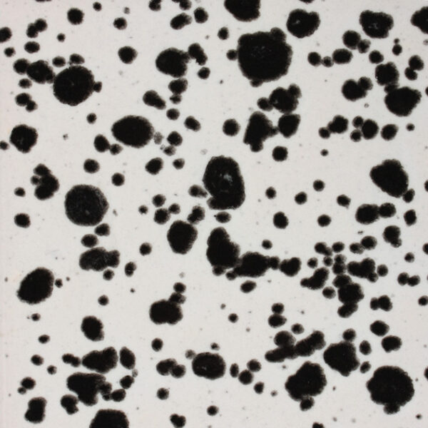 CG0977 - Ink Spots 'Jungle Gems'