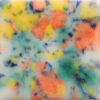 CG0981 - Fruity Freckles 'Jungle Gems'