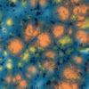 CG0983 - Koi Pond 'Jungle Gems'