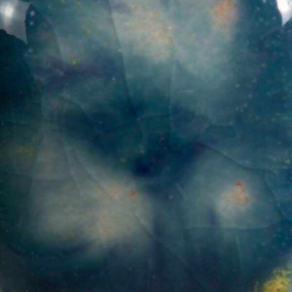 CG0983 - Koi Pond 'Jungle Gems'