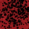 CG0984 - Ladybug 'Jungle Gems'