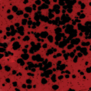 CG0984 - Ladybug 'Jungle Gems'