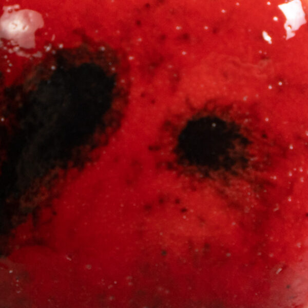 CG0984 - Ladybug 'Jungle Gems'