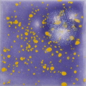 CG1010 - Periwinkle Sky 'Jungle Gems'