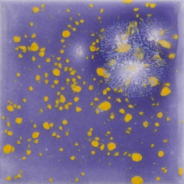 CG1010 - Periwinkle Sky 'Jungle Gems'