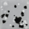 CG1016 - Asteroid 'Jungle Gems'