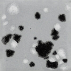 CG1016 - Asteroid 'Jungle Gems'
