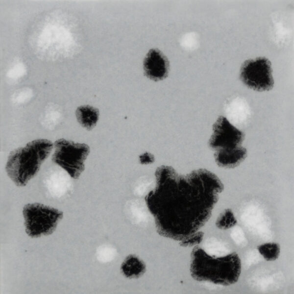 CG1016 - Asteroid 'Jungle Gems'