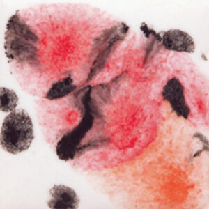 S2727 - Poppy Fields 'Jungle Gems'