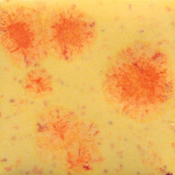 S2729 - Citrus Splash 'Jungle Gems'